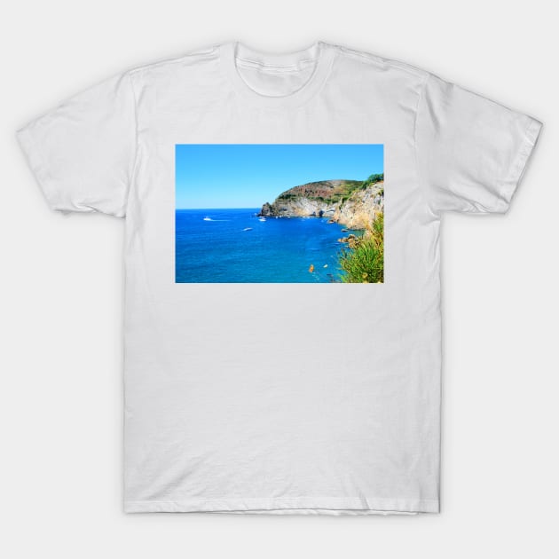 Scenery from Ischia with rocky formations at Punta Chiarito T-Shirt by KristinaDrozd
